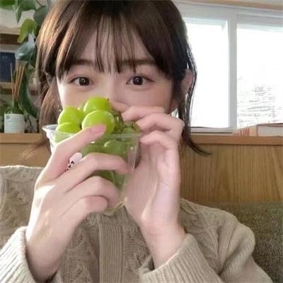 休战协定