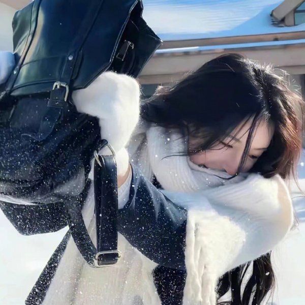 捕狼行动